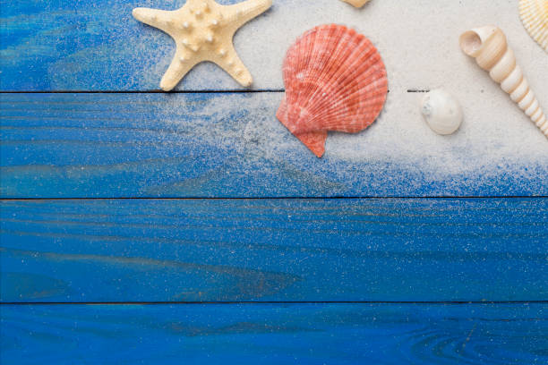 istock Sea shells, starfish and sand on wooden background, top view 2202089118