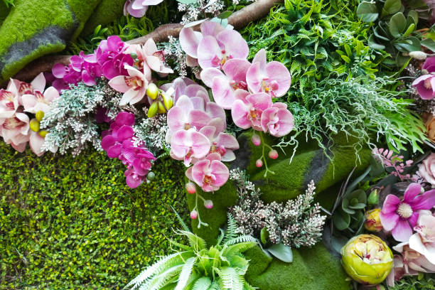 istock Pink orchids on a green lawn. Tropical greenery decorative. 2202089610