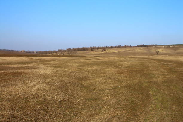 istock A large field with trees in the background 2202098105
