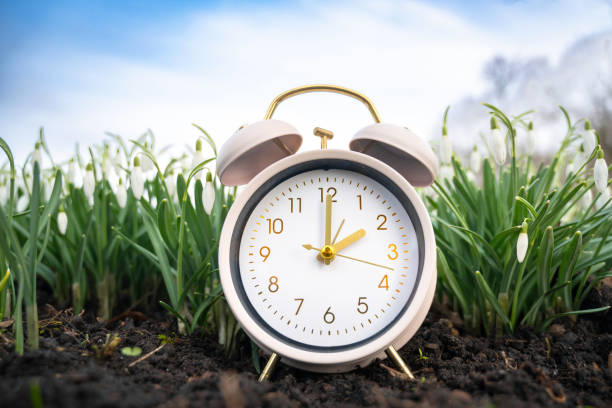 istock Alarm clock with snowdrop flowers, switch to daylight saving time in spring, summertime changeover 2202099050