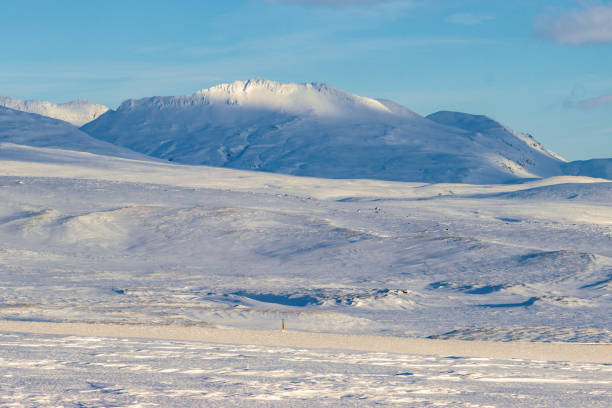 Snowed Thingvellir National Park in winter (Golden circle - South Iceland)
