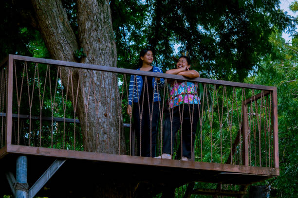 istock Two People Enjoying Elevated View from Tree Platform in Garden Park 2202102346