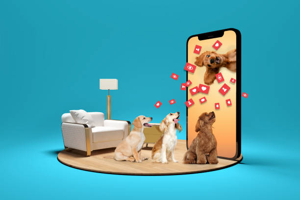 Social media pets. Three dogs eagerly watching screen as digital pet influencer emerges from smartphone, surrounded by floating social media reactions. Composite image, collage