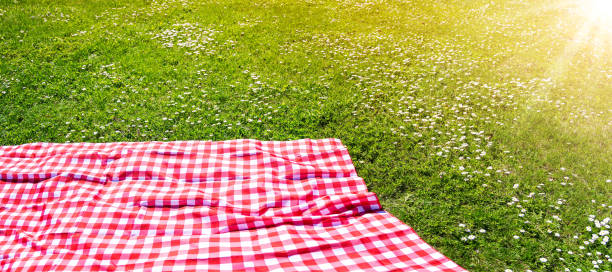 istock Checkered duvet lying on the fresh green grass in sunny day. 2202103125