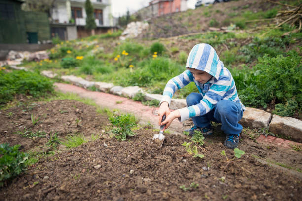 A young boy wearing a blue and white striped hoodie and jeans is crouching in a patchy, unkempt backyard, digging into the rough soil with a small trowel. His hands are covered in dirt as he focuses on his simple task, surrounded by scattered greenery, wildflowers, and uneven stones. Raw and imperfect setting, full of life and the quiet simplicity of childhood.Shot with Nikon D810