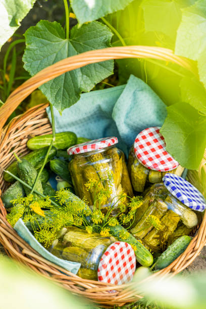 istock Freshly picked cucumbers and preserved pickles in wicker basket 2202109333