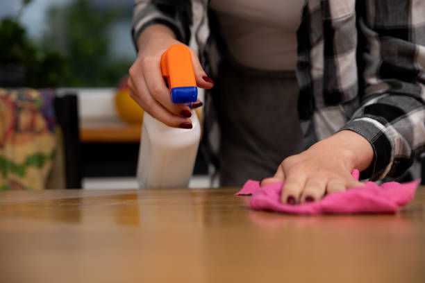 istock Utilizing Spray and Cloth for Cleaning An Innovative and Modern Method to Home Care Practices 2202112761