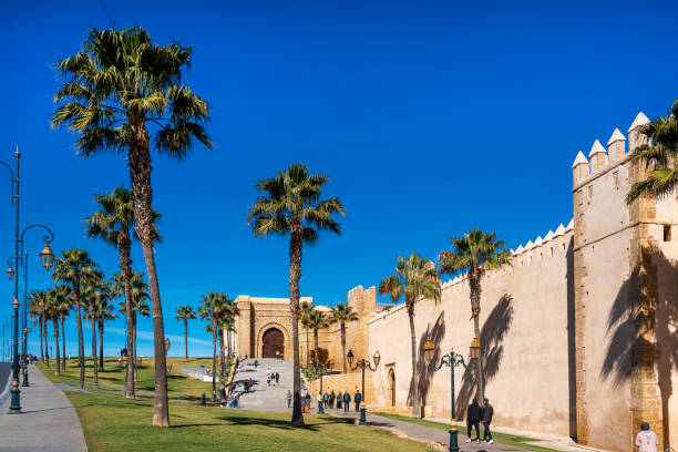 istock Historic Fortification Wall with Palm Trees in Rabat, Morocco 2202115001