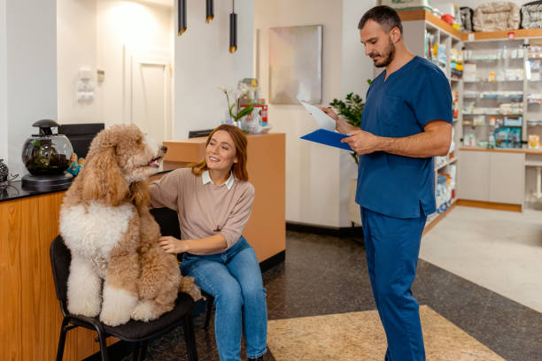 istock Caring Conversation: Vet and Owner Bond Over a Happy Poodle 2202116198