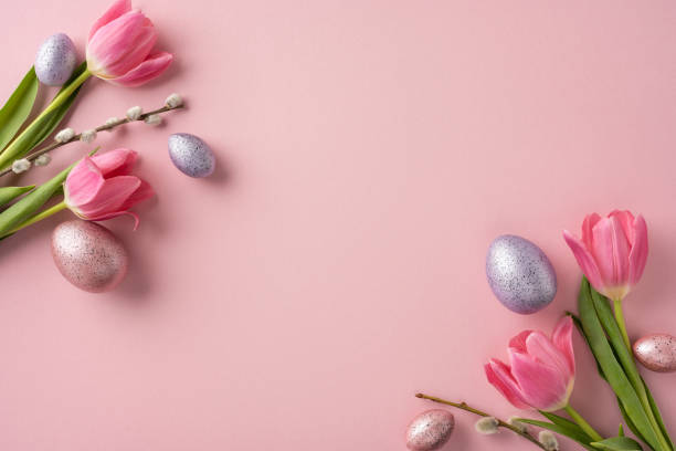 istock Pink tulips with speckled eggs arranged on a soft pastel background, featuring spring themes 2202118201