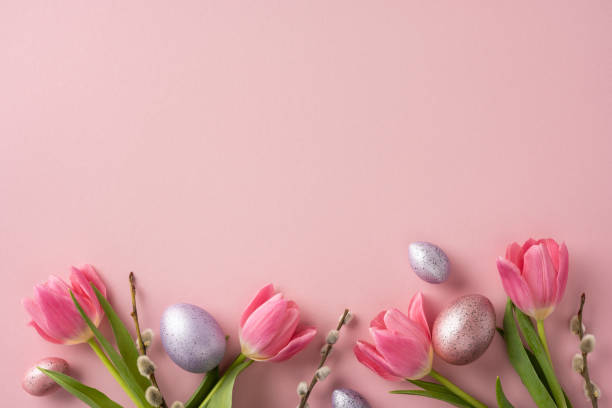 istock A seasonal Easter composition featuring pink tulips, painted eggs, and delicate details on a pastel background, inspired by springtime themes and festive decor 2202118211