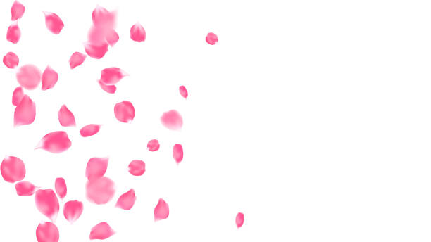 istock Lovely banner rose petals flying float. Floral composition background, Valentine romantic card design vector illustration 2202120466