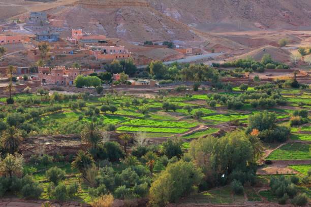 istock Farms in the desert in Morocco 2202121930