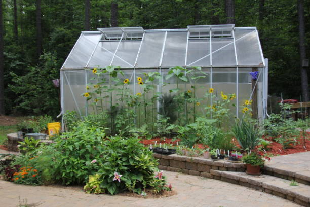 Small Garden Greenhouse