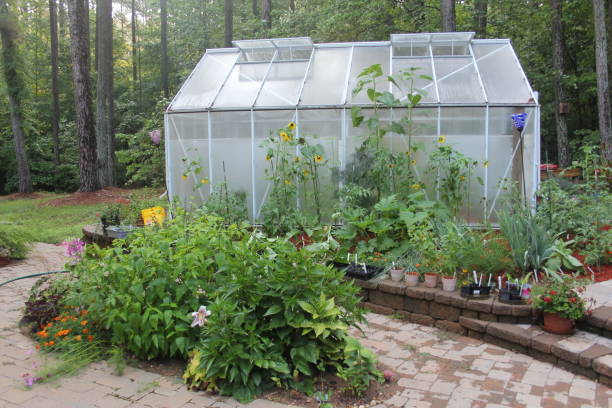 istock Small Garden Greenhouse 2202123589