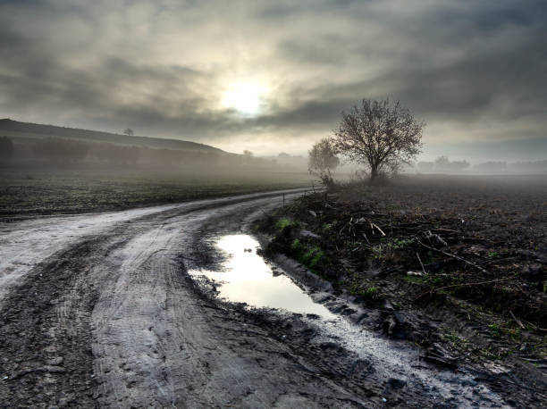 istock Fog on the Camino de Los Almendros 2202124014