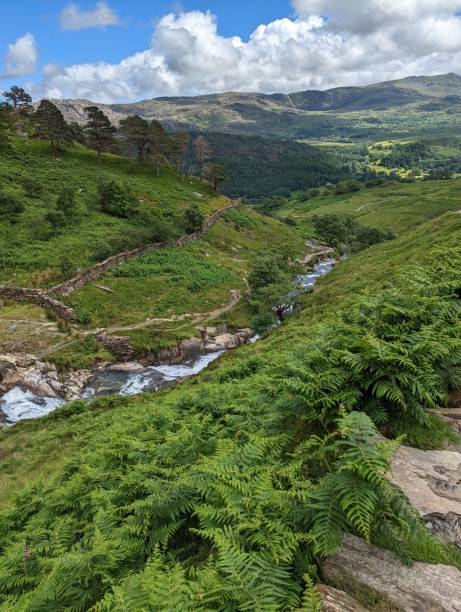 istock Lush Green Valley with Flowing Stream and Rocky Terrain 2202124203