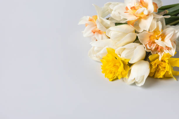 Beautiful spring flowers and Easter decorations. Happy Easter greeting card