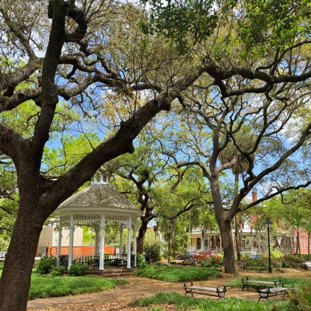 istock Whitfield Square Savannah, Georgia 2202132741