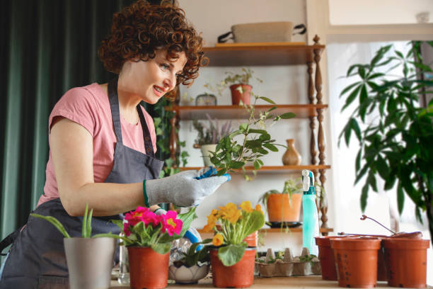 istock Woman gardening at home 2202133526