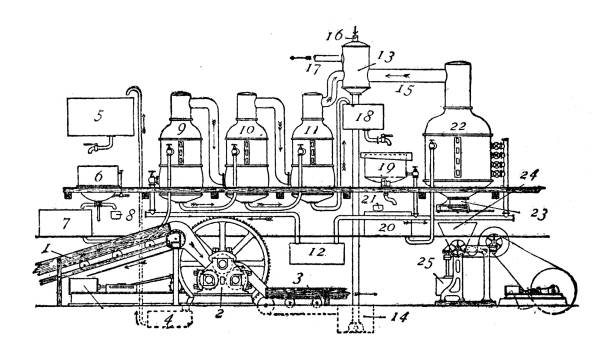 Sugar production from sugar cane Antique illustration (1898): Sugar production from sugar cane sugar cane juice stock illustrations