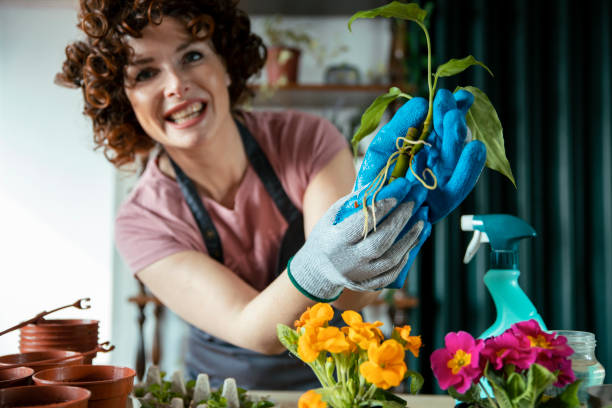 istock Woman transplanting plants when they take root 2202134657