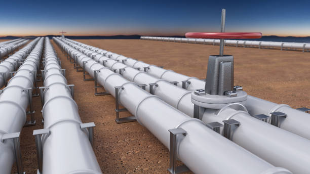istock Rows of White Pipelines With Red Valves Under the Setting Sun 2202136171