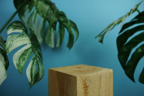 istock Wooden podium display scene stage showcase front view with copy space and monstera leaves decoration on blue background 2202145926