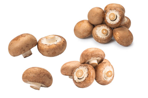istock Tasty mushroom isolated on white background. 2202153887