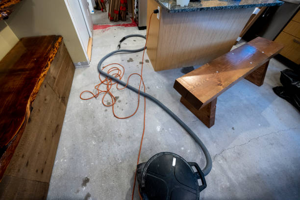 istock Vacuum in flood damaged kitchen 2202155875