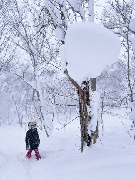 VERTICAL: Young female snowboarder is surrounded by the foggy forest of Niseko covered in deep powder snow. Fresh snow blankets the backcountry landscape surrounding the tourist on snowboarding trip.