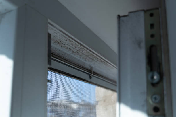 istock Visible mold and fungus formations are present on the window frame, indicating potential moisture issues in the residential area during daylight 2202161182