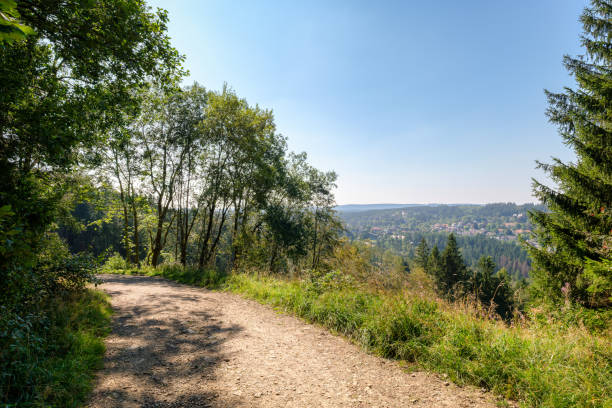 istock Hiking path in the Grumbach Valley (Harz Mountains, Germany) 2202165591