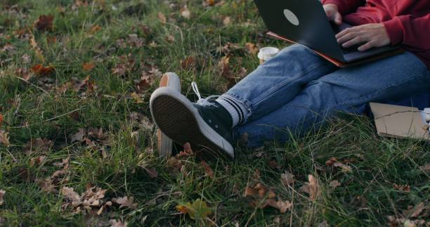 A young man uses a laptop sitting on the grass under a tree outdoors, close-up. Unidentified person, no face in the frame