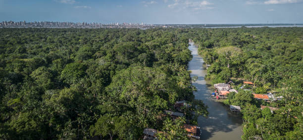 River and Amazon rainforest with the city of Belém in the background (Cumbú Island - Belém - Pará - Brazil)