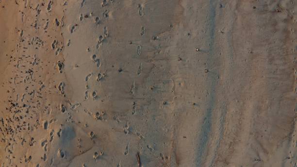 istock Top view, footprints on wet sand on the seashore washed by foamy waves 2202171882