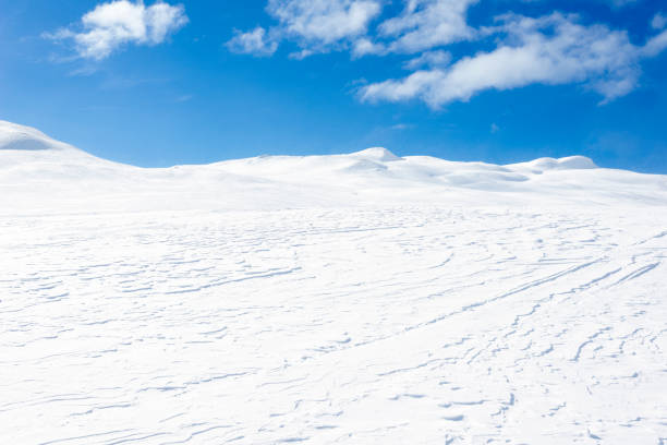 Jotunheimen (translates to “Home of the Giants\
