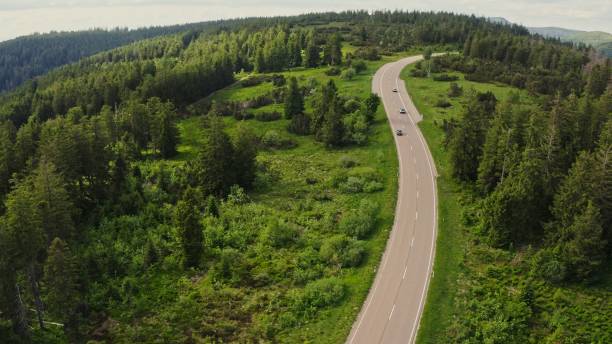 istock A green hilly valley overgrown with a dense spruce forest 2202174296