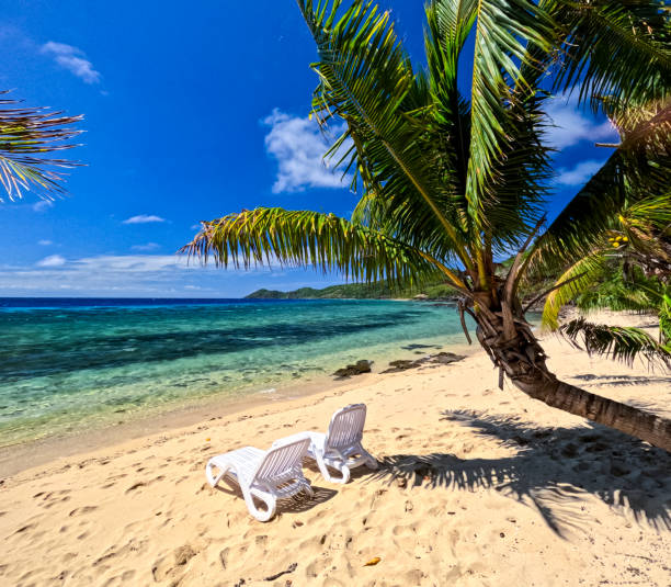 A serene tropical island beach is set with brown deck chairs inviting sunbakers to lounge in the sun