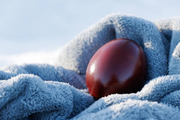 Brown smoked egg nestled in soft grey material