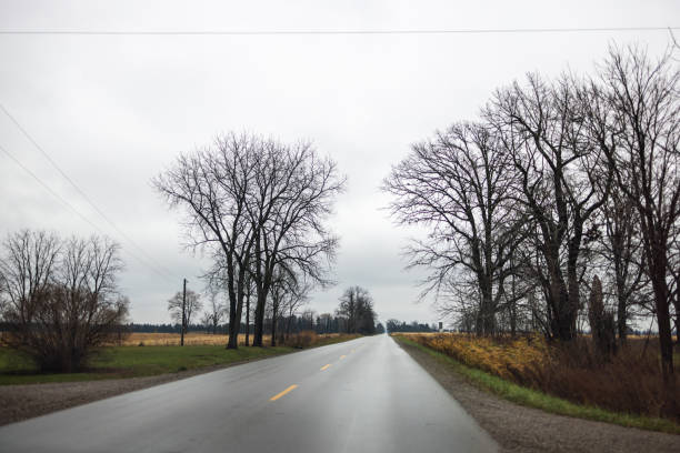 A peaceful countryside road surrounded by bare trees under an overcast sky, evoking solitude.