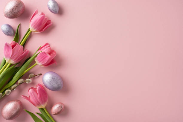 istock Fresh pink tulips arranged with pastel-colored Easter eggs on a soft pink surface create a light and festive holiday atmosphere 2202185052