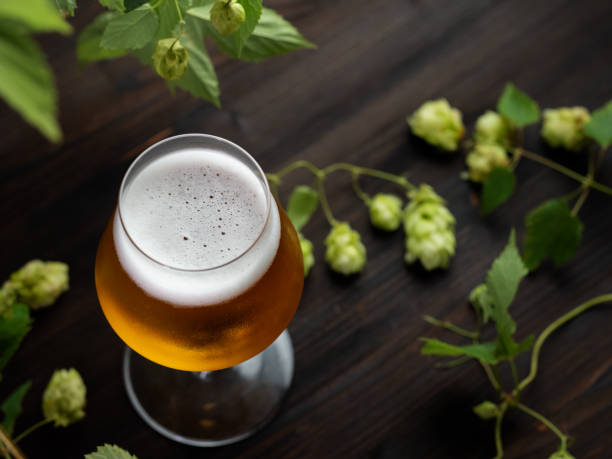 istock Cold Light beer glass on a wooden table and fresh green hops. Top view 2202186405