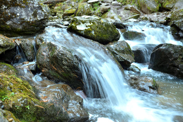 istock A turbulent river flows down a cascading waterfall from large moss-covered rocks surrounded by dense forest on a cloudy autumn morning. 2202188981