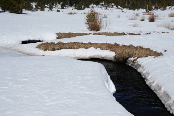 Winding stream cutting through a snow-draped landscape as winter transitions to spring in a Sierra Nevada meadow.
