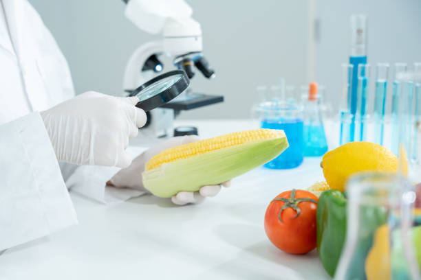 istock Scientist use magnifying glass to check physical occur from chemical on fruit and vegetable residues in laboratory. inspect the concentration of chemical residues, standard, find prohibited substances 2202192056