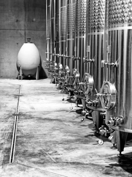 istock Concrete Egg In A Winery In Black And White 2202193506