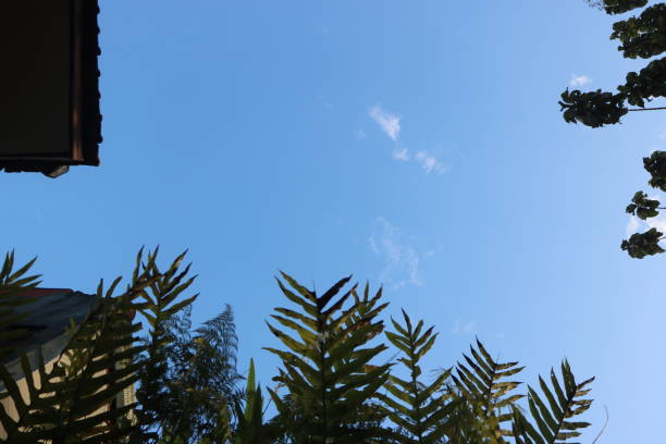 A clear blue sky with few scattered clouds, framed by lush greenery at the bottom