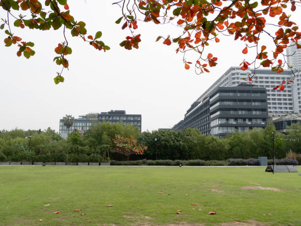istock Urban landscape with modern architecture and green space a city park environment 2202199465