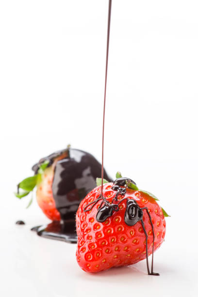 Chocolate covered strawberries for Valentine's Day